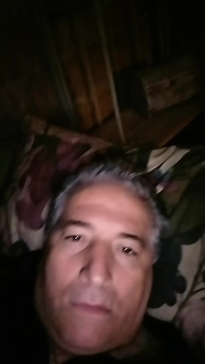 @viva la vita