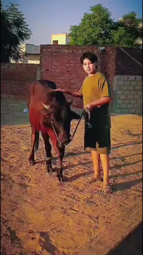 @محمد آصف صراف