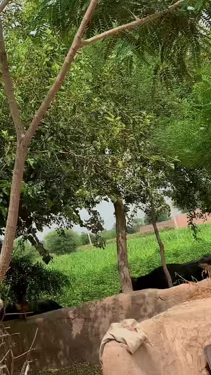 @MØĤ§ÎŇ ĆĤ🤗