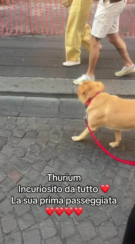 @Titty
