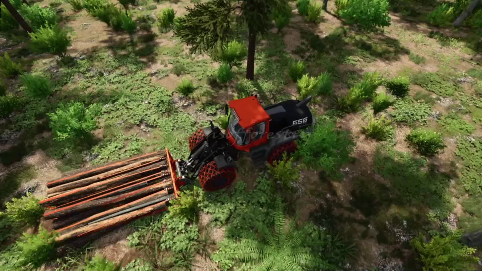 @SONS OF FORESTRY