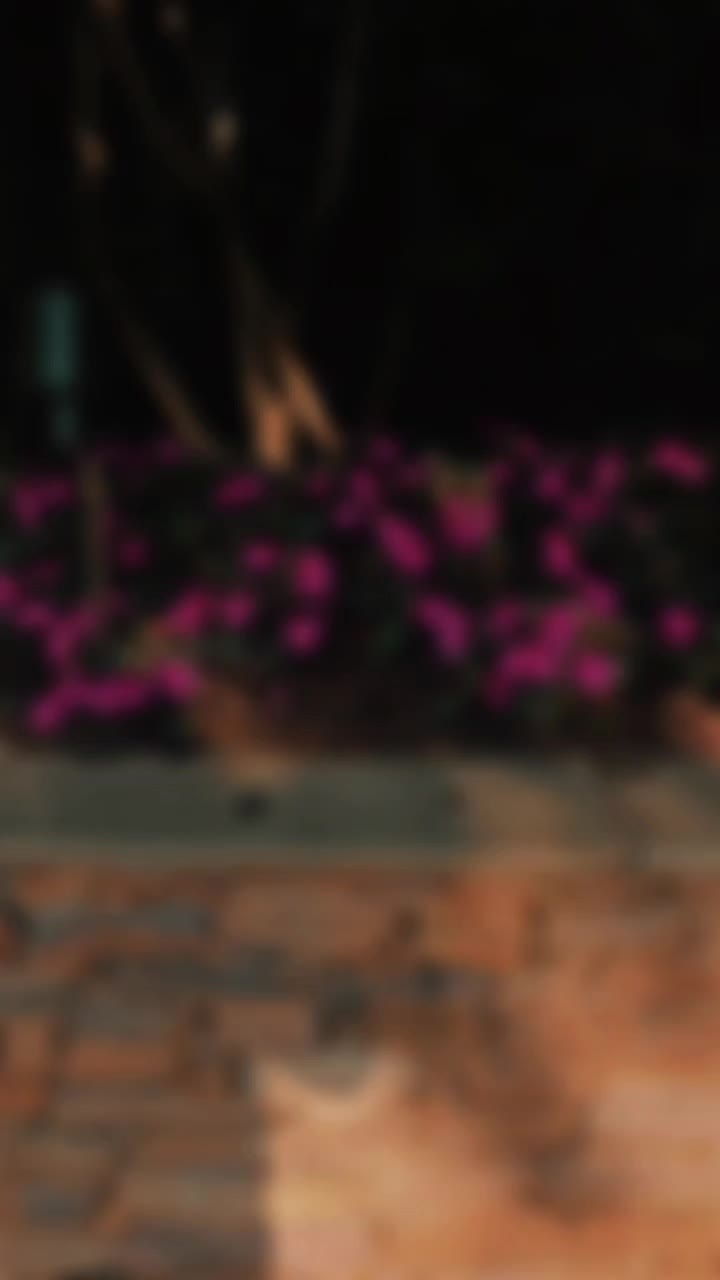 @🪐⃝𝒵 &Yuml;&Oslash;V&Auml;