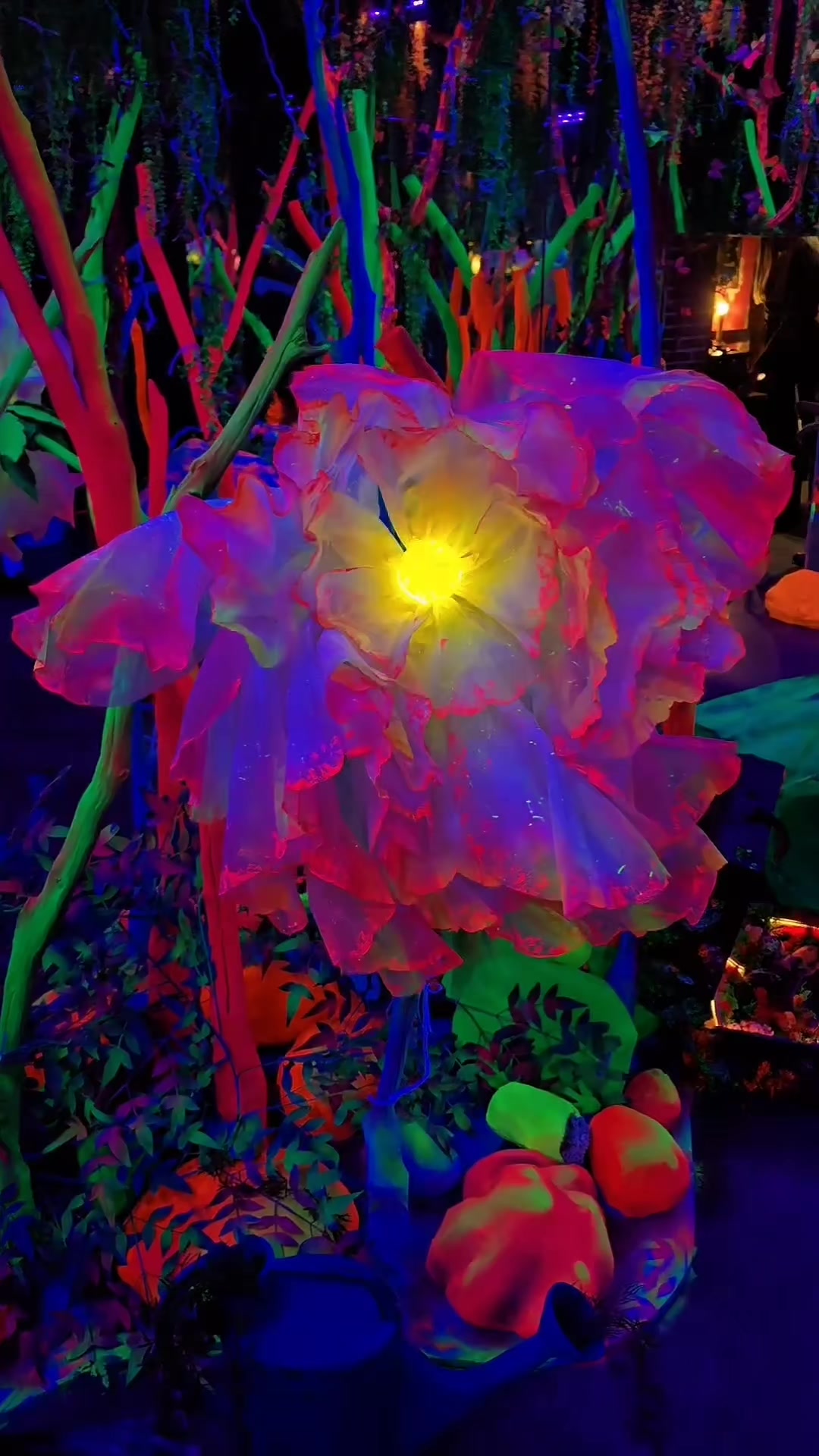 @𝕧𝕒𝕤𝕚𝕝𝕚𝕤𝕒_𝕗𝕠𝕩