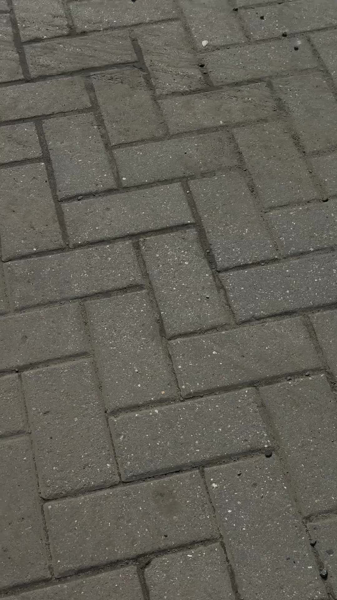 @☦️