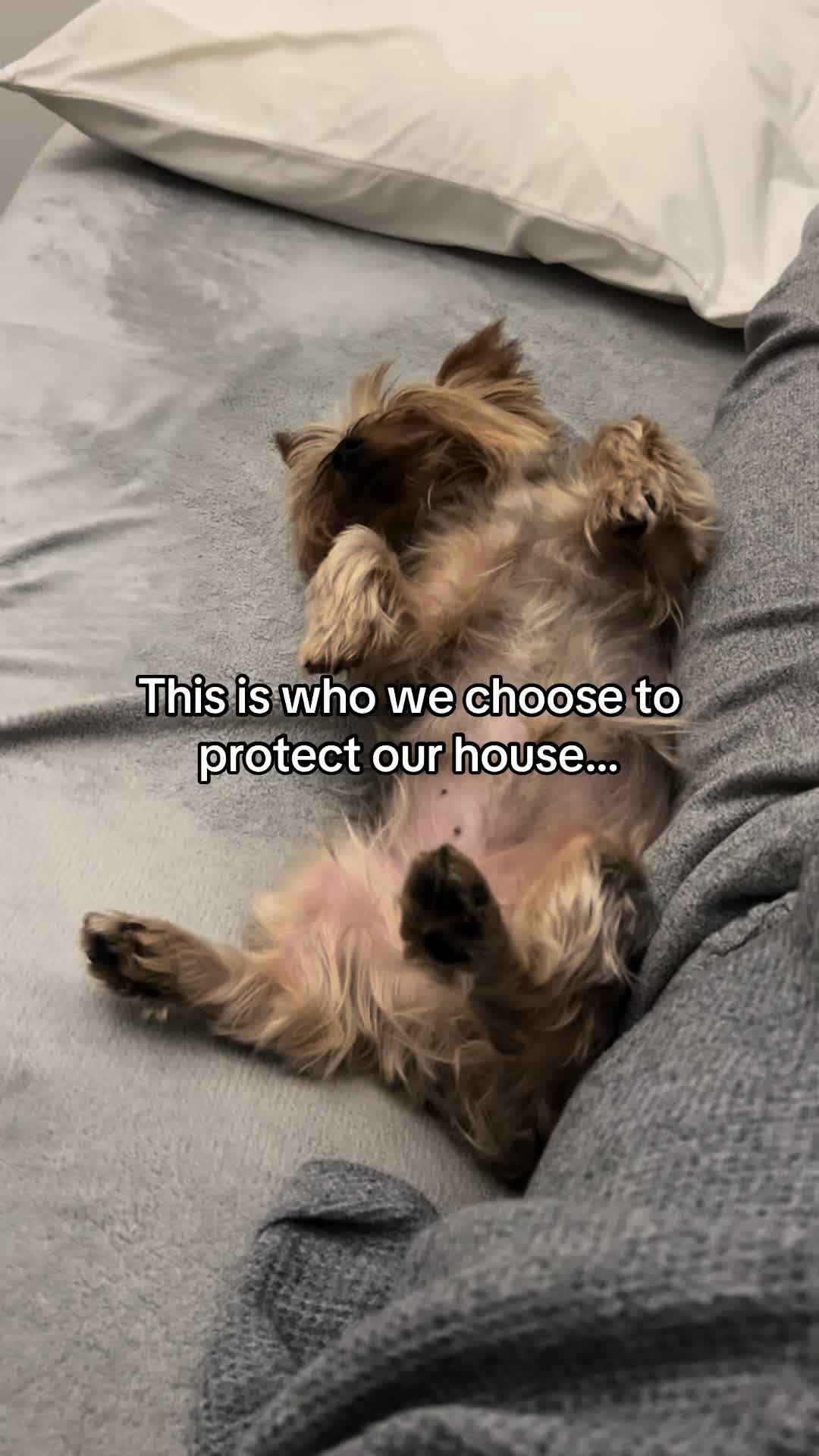 @phlavorphill