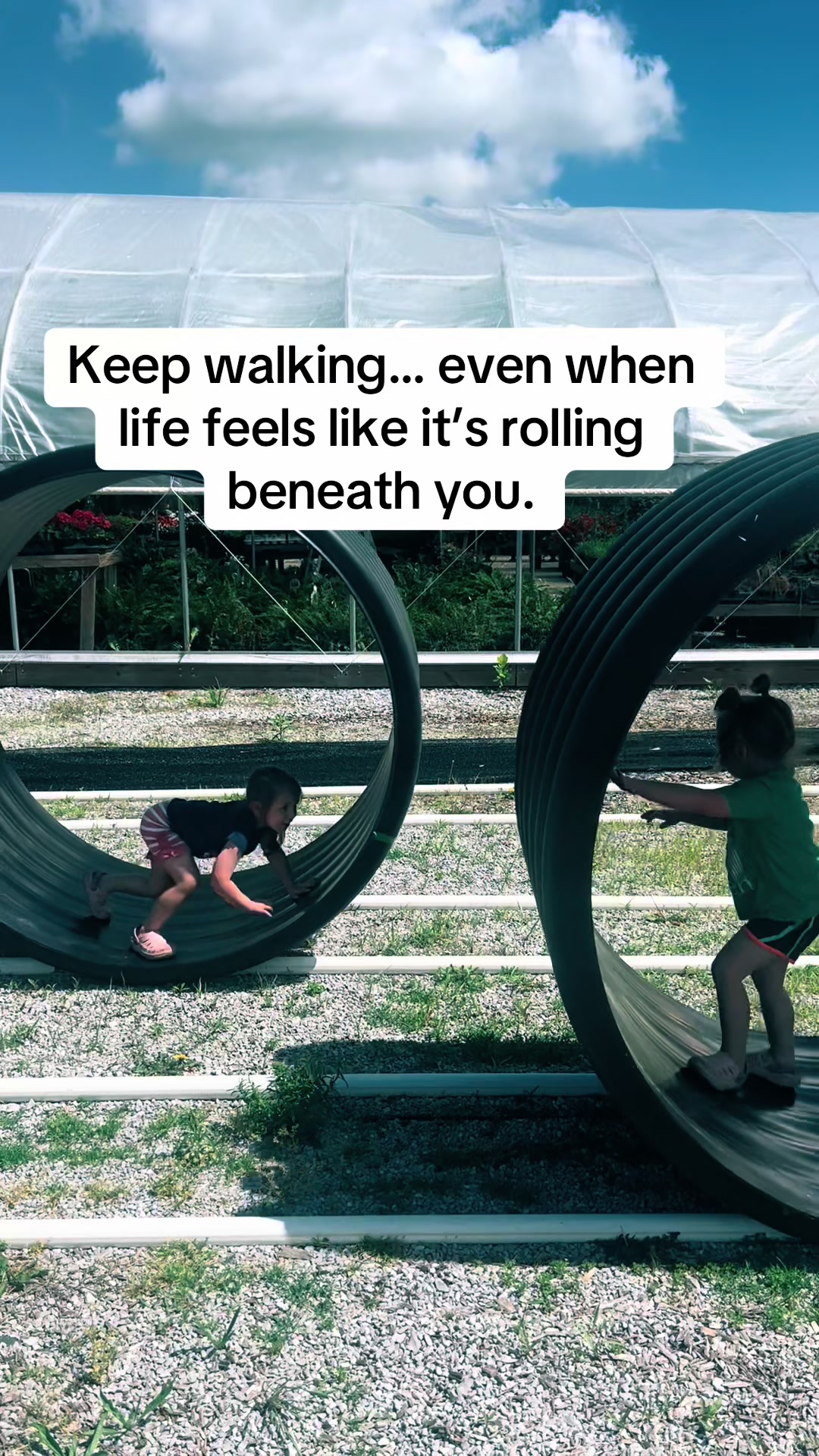 @SHEENA PHELPS