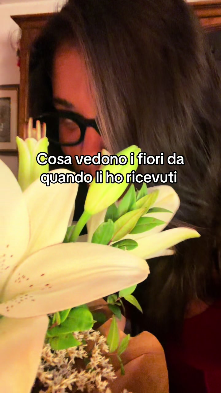 @naomidelbello