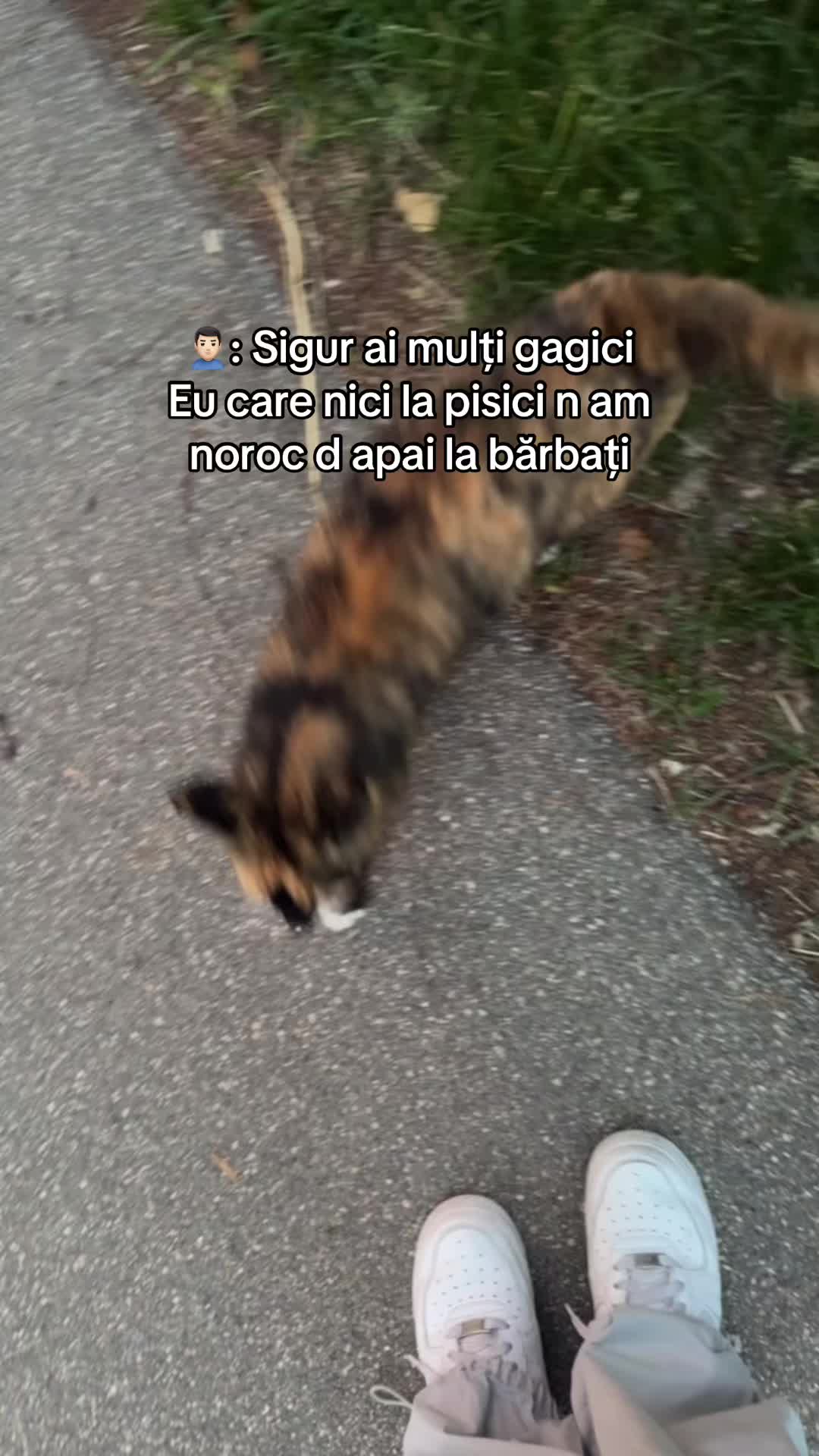 @Izabella_bucur