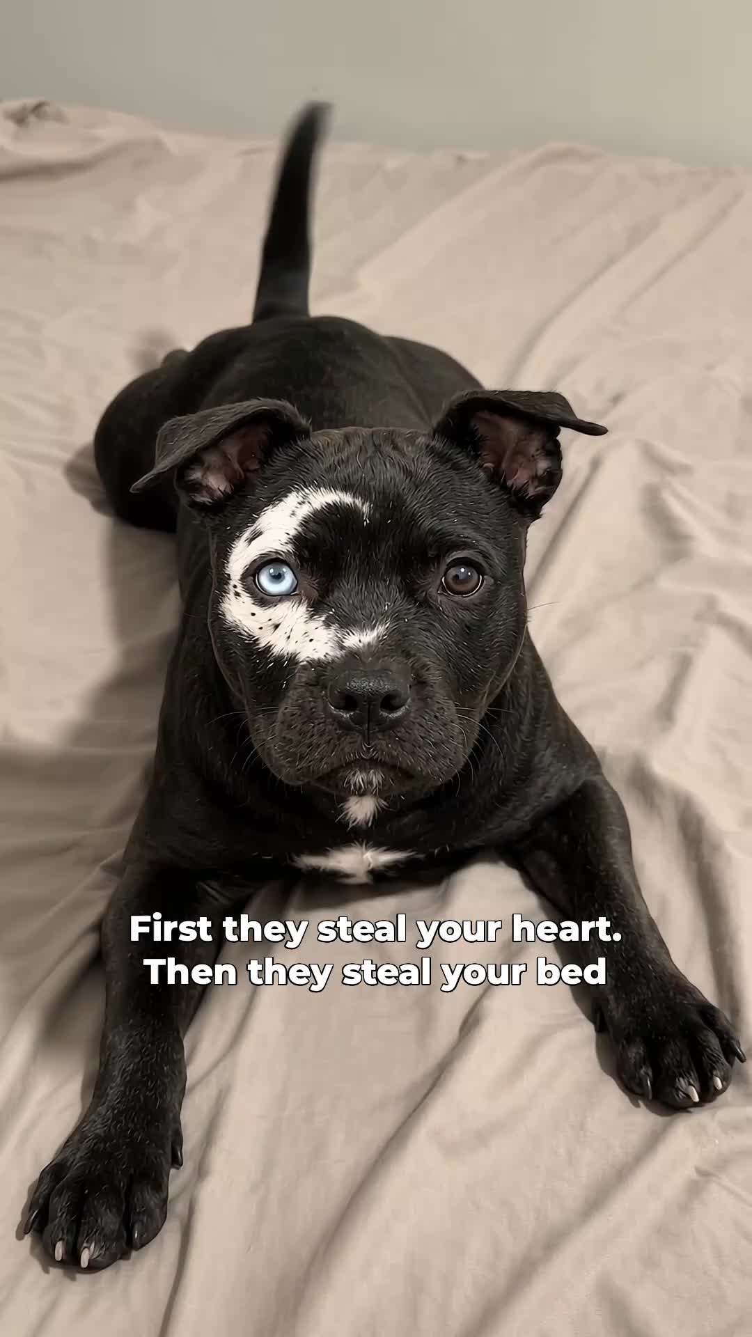 @moonfetches