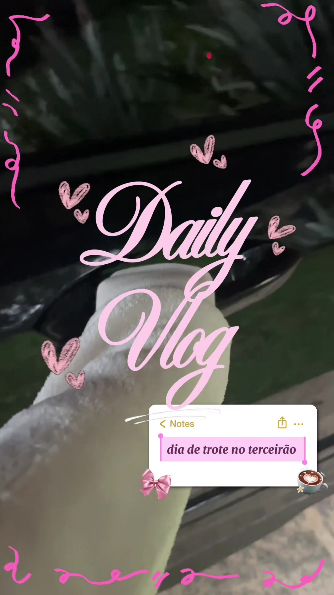 @aila 🎀
