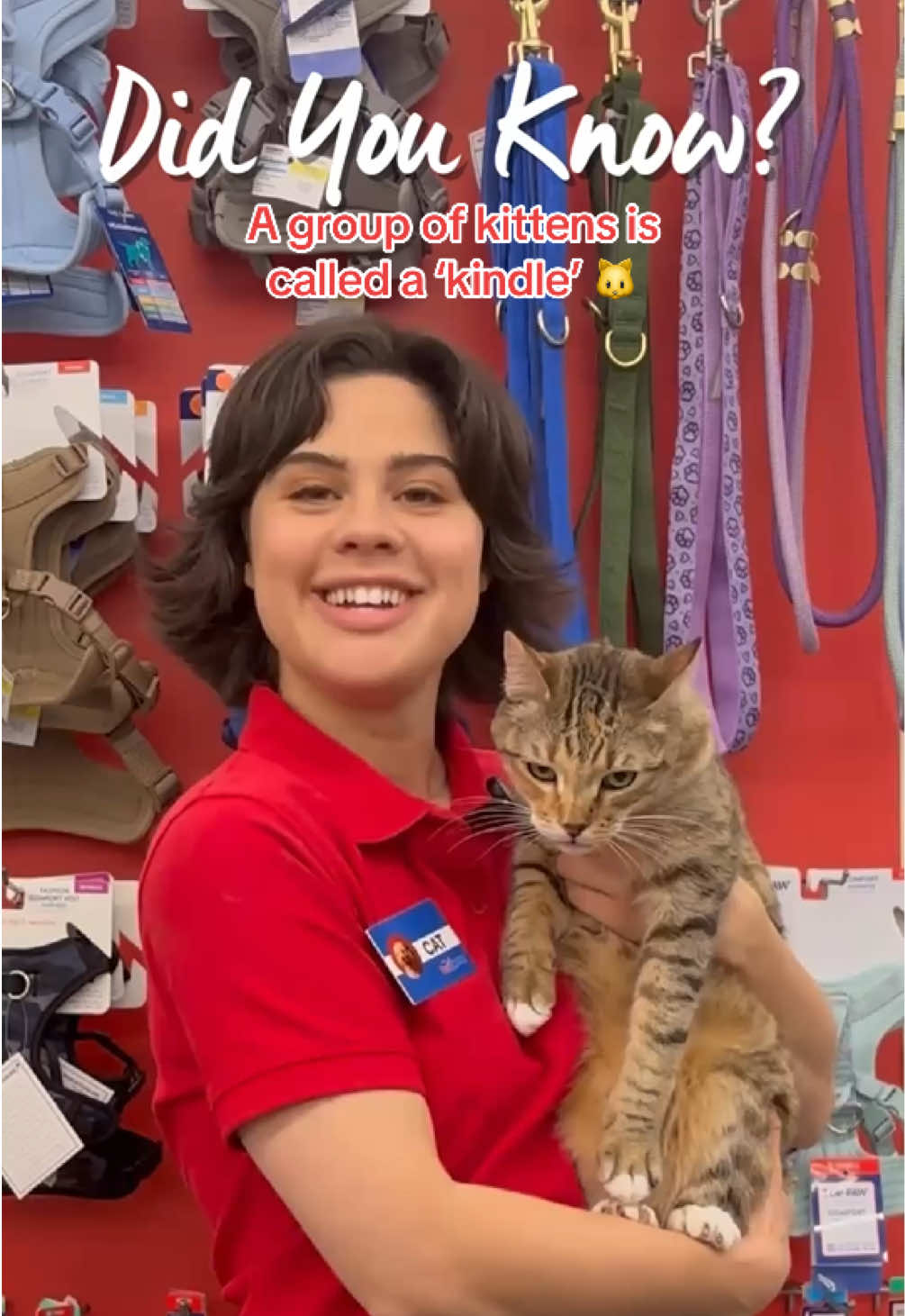 @PetSmart