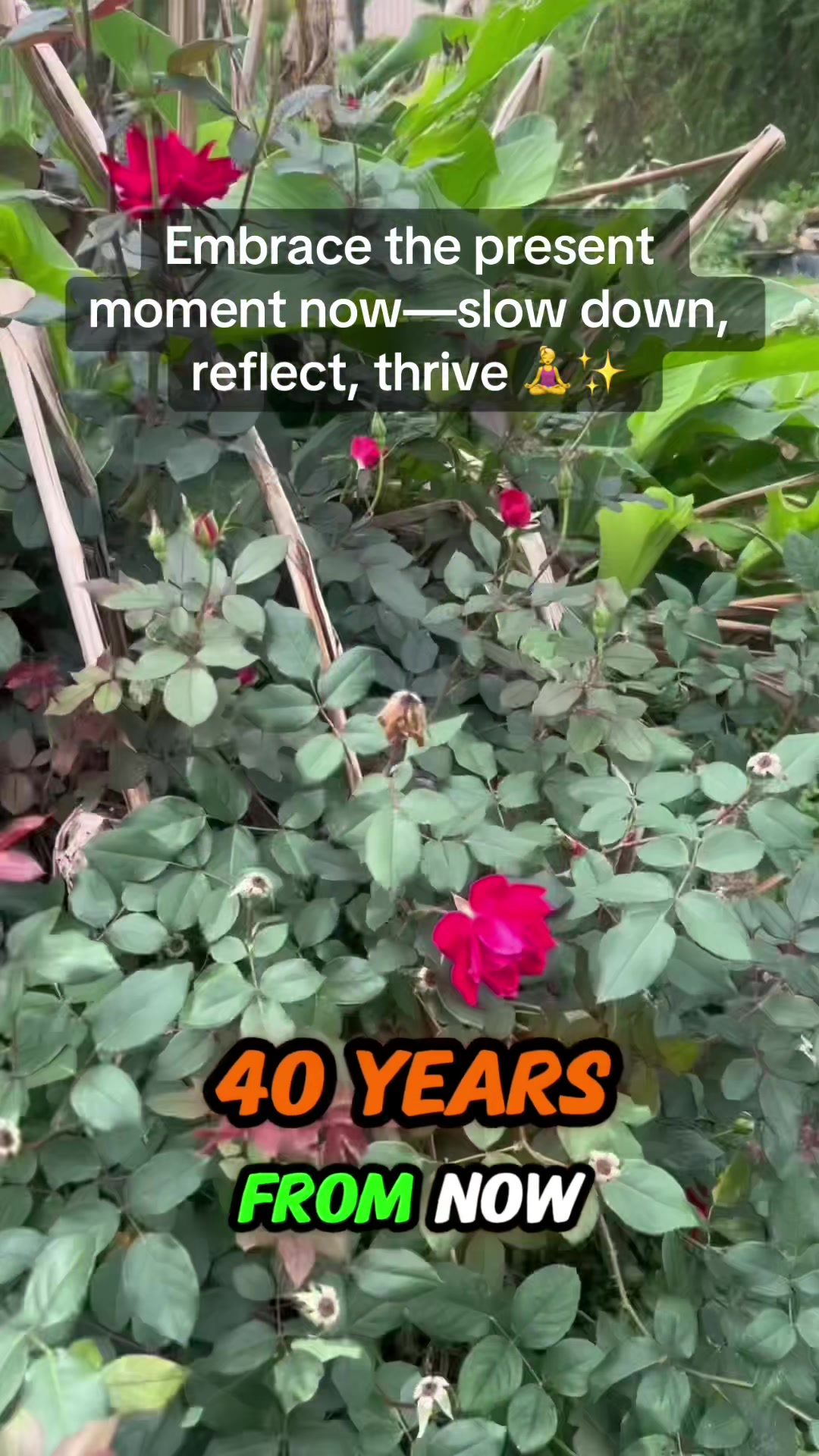 @GomezClipLab