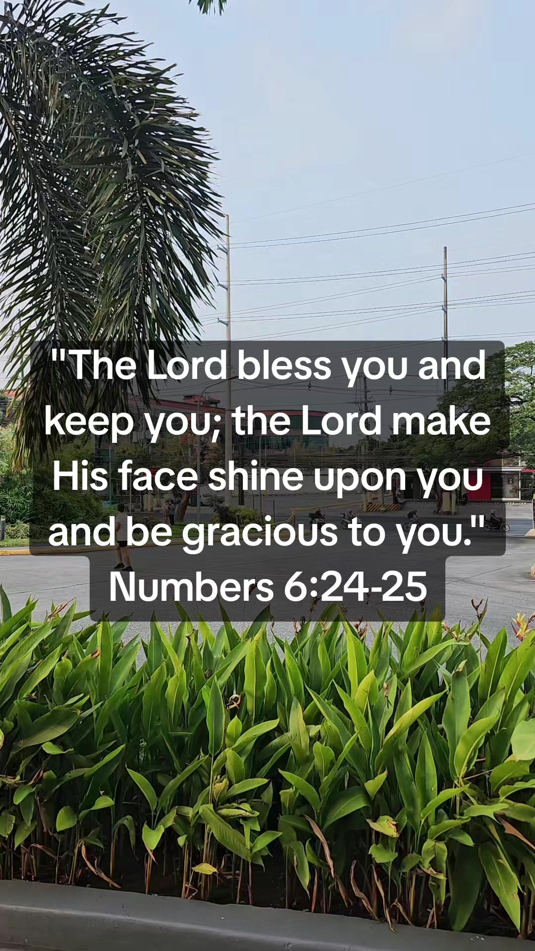 @❤️Rabbi Yeshua❤️