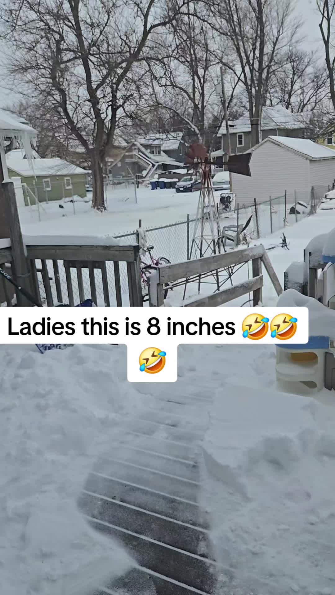 @Kayla