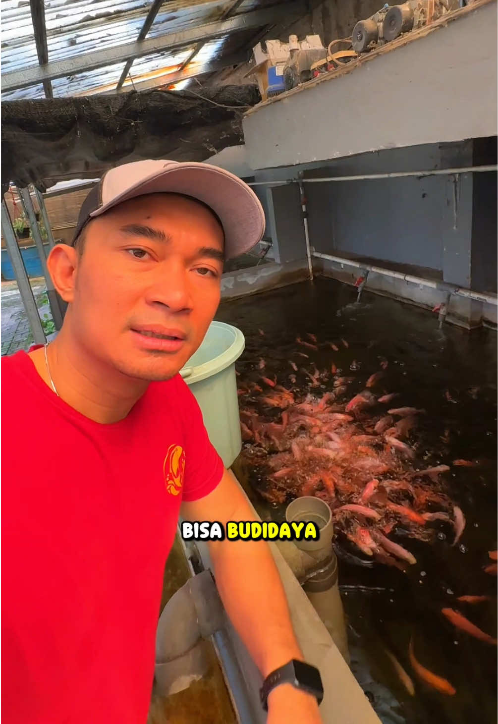 @NilaKu ID