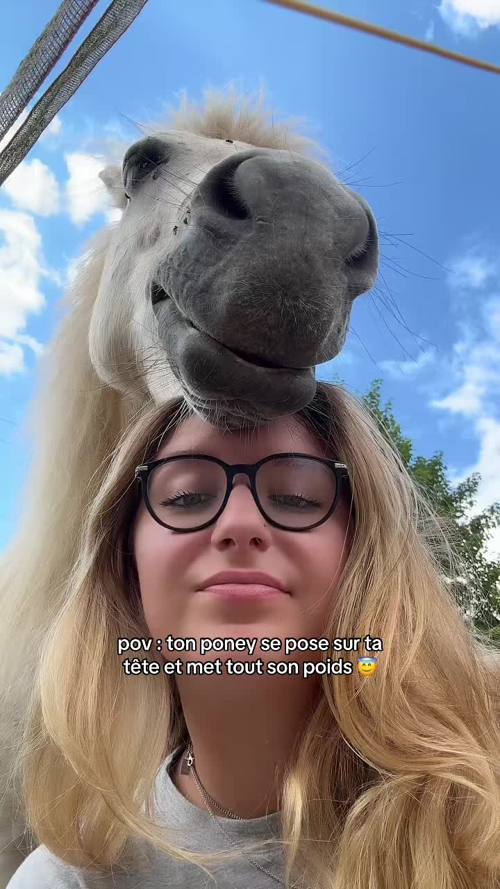@benjyylepetitponey
