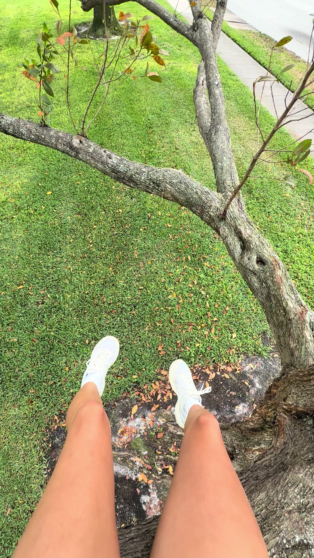 @bipbittybop