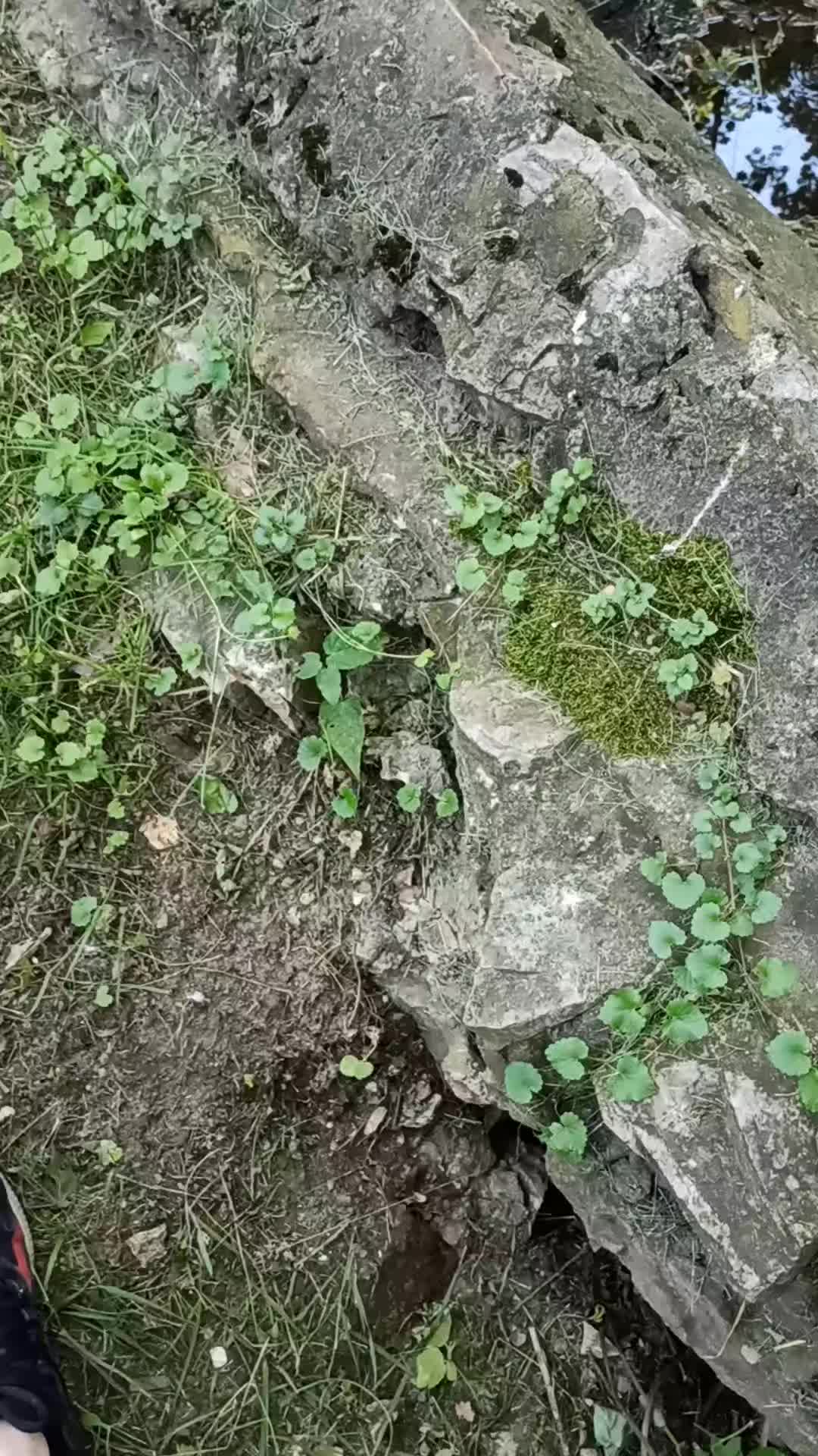 @upadły anioł