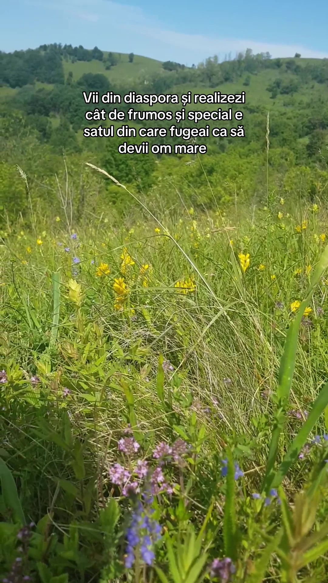 @Ana D Ionela