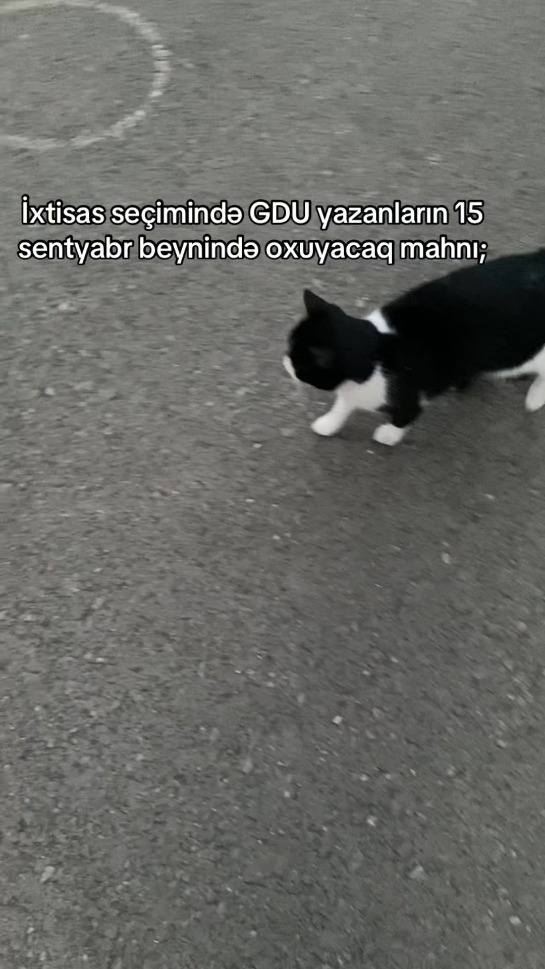 @𝐐.𝐒