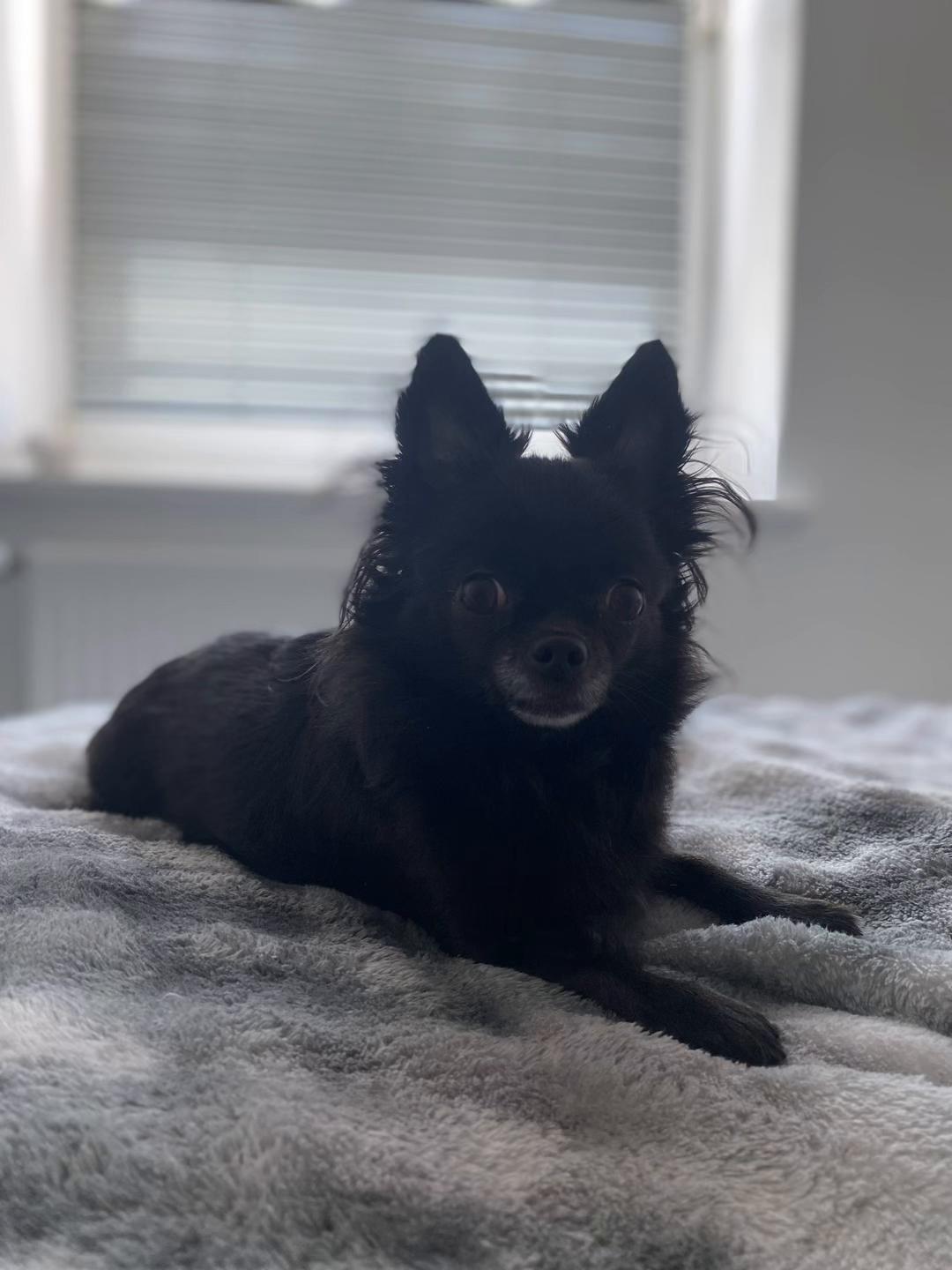 @Liza🐾