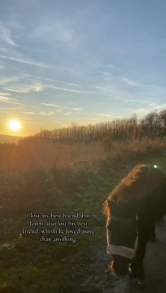 @🖤