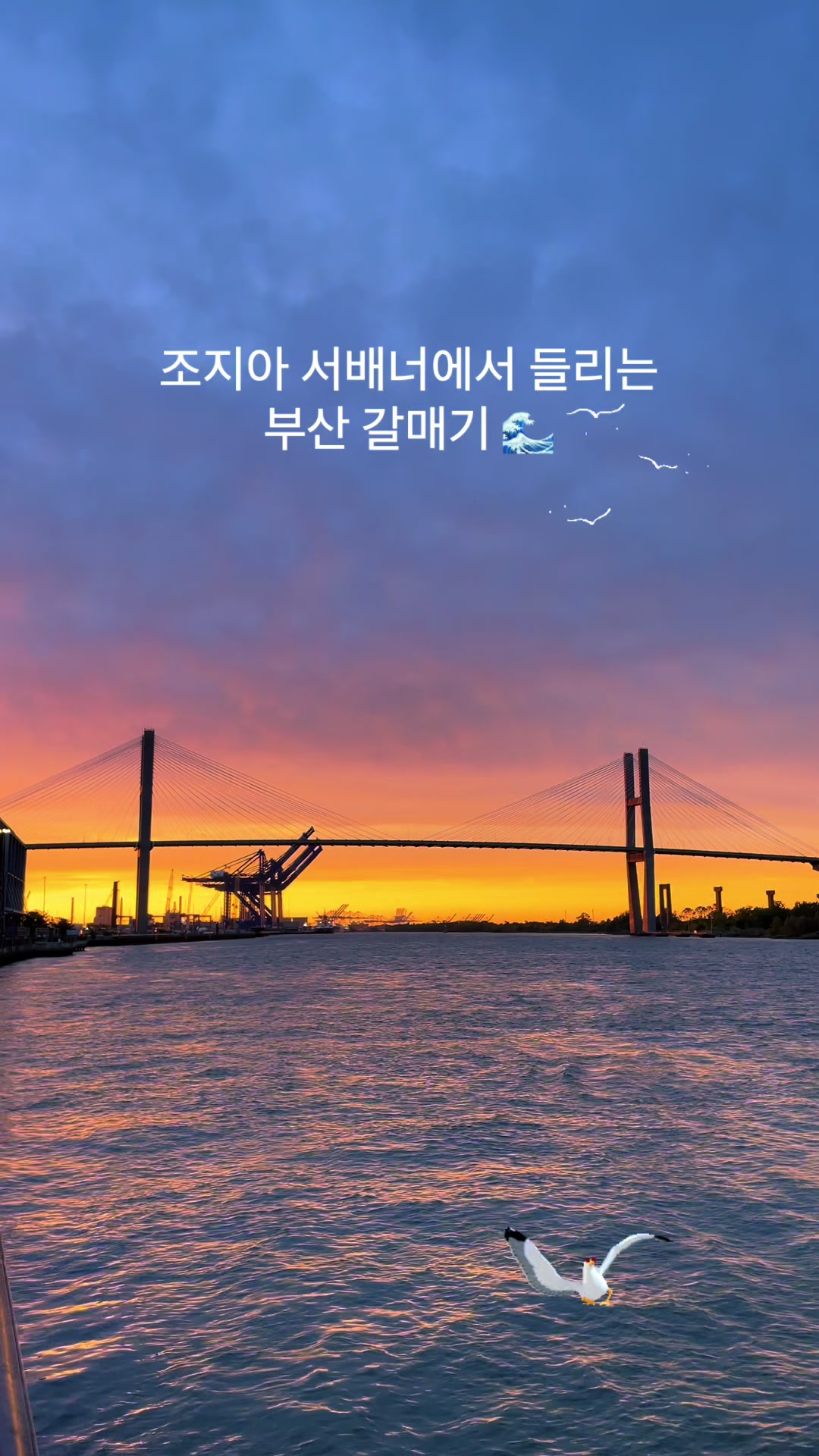 @Nomad James(노마드제임스)