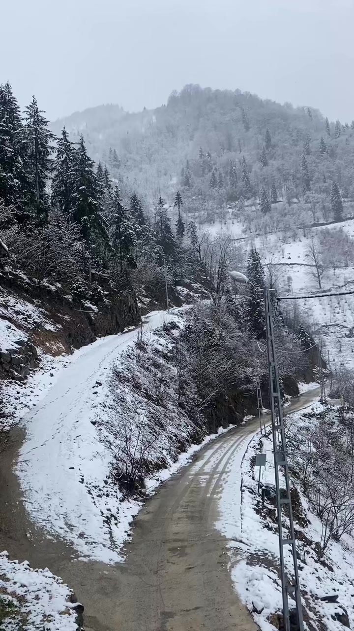 @_aslii61