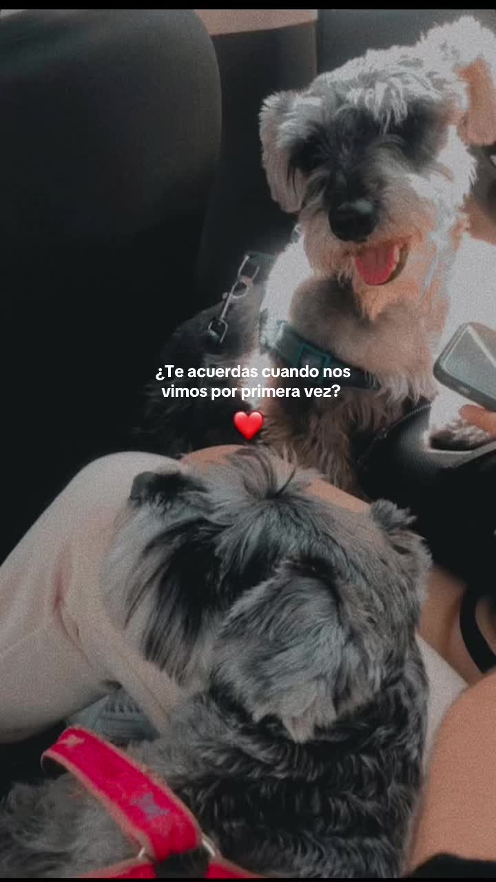 @Maaaaar.🌊