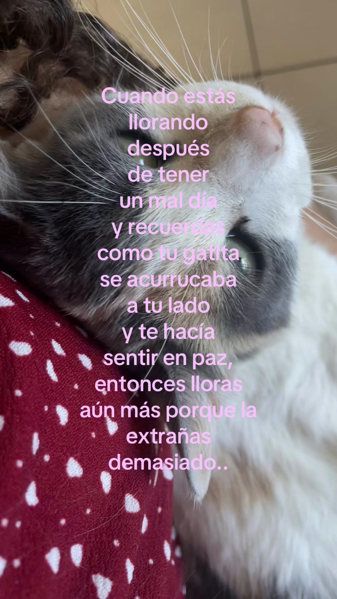@Isidora Valdebenito💙