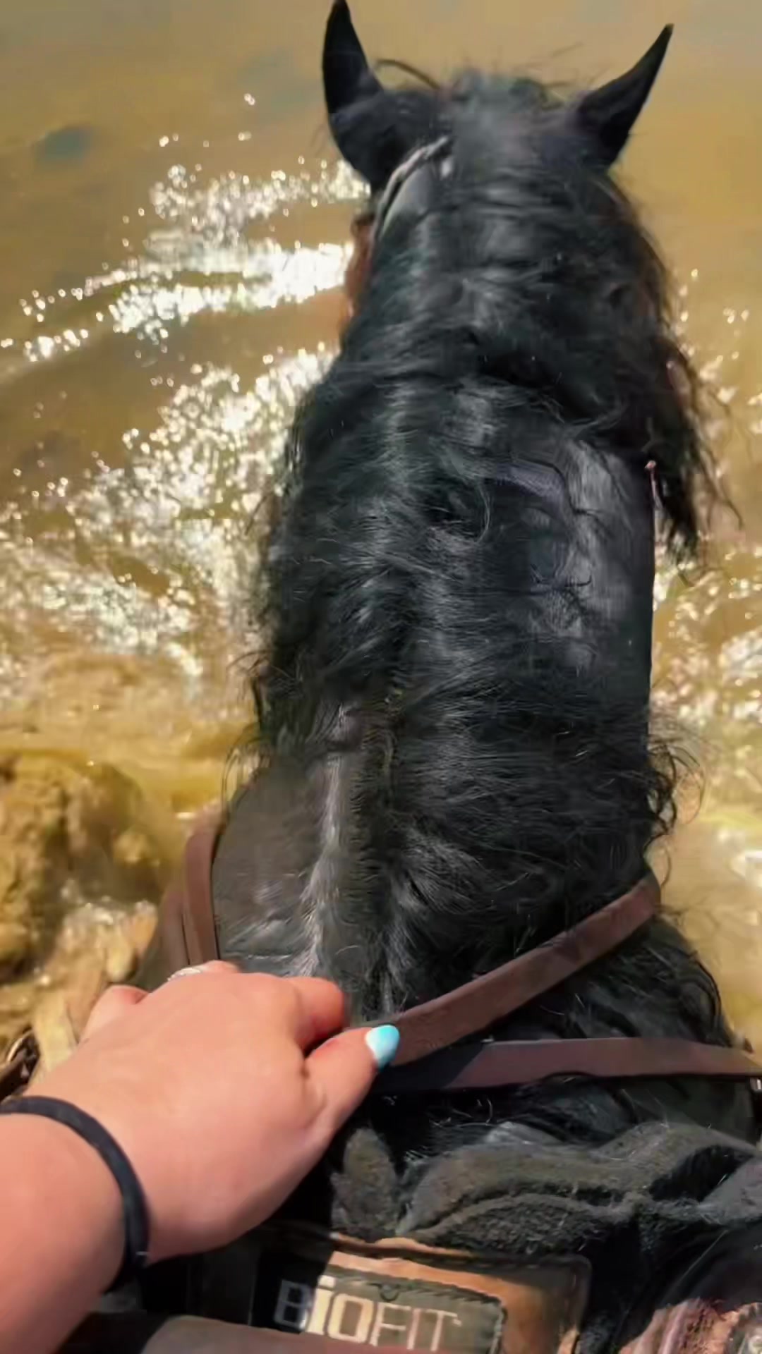 @Tru Grit Leather By Taylor LLC