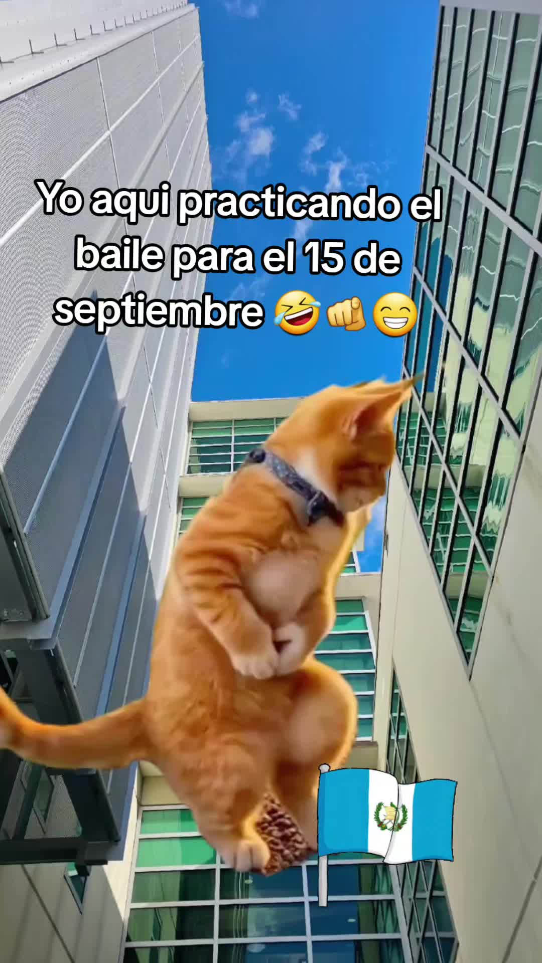 @Gabrielito 502