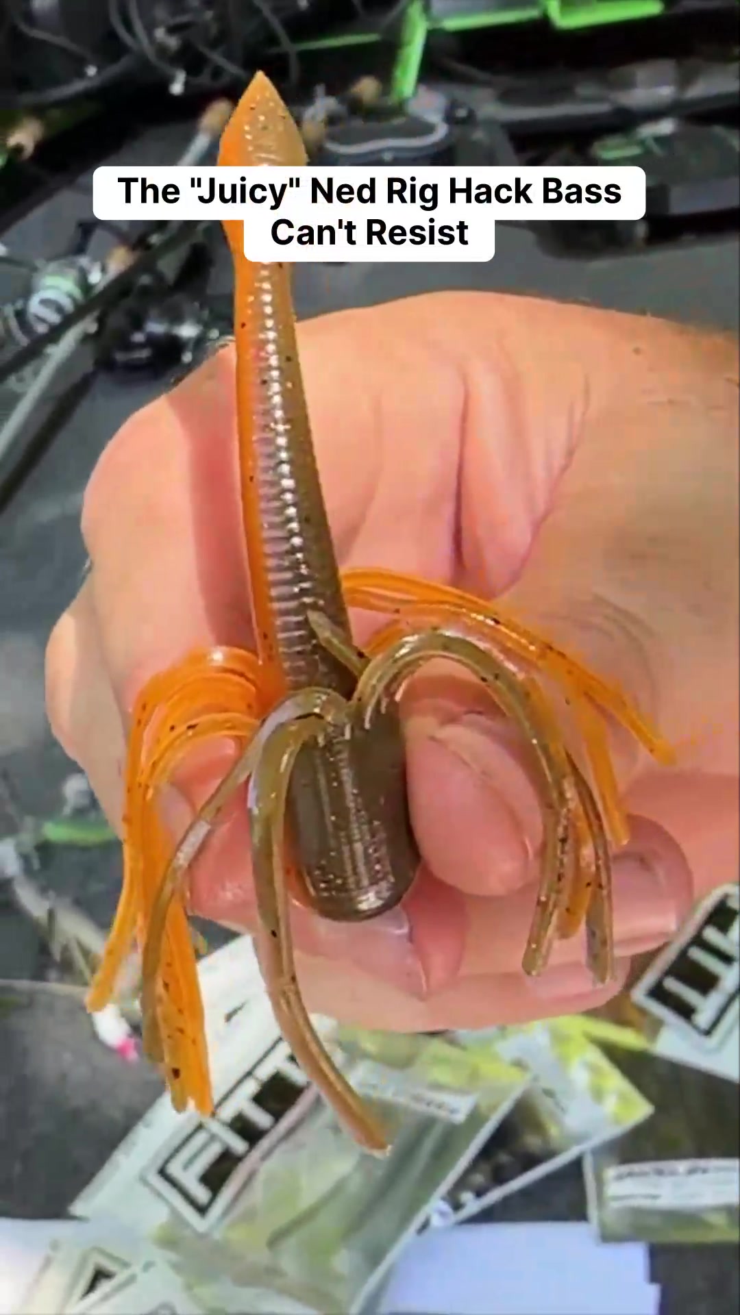 @bassgeek