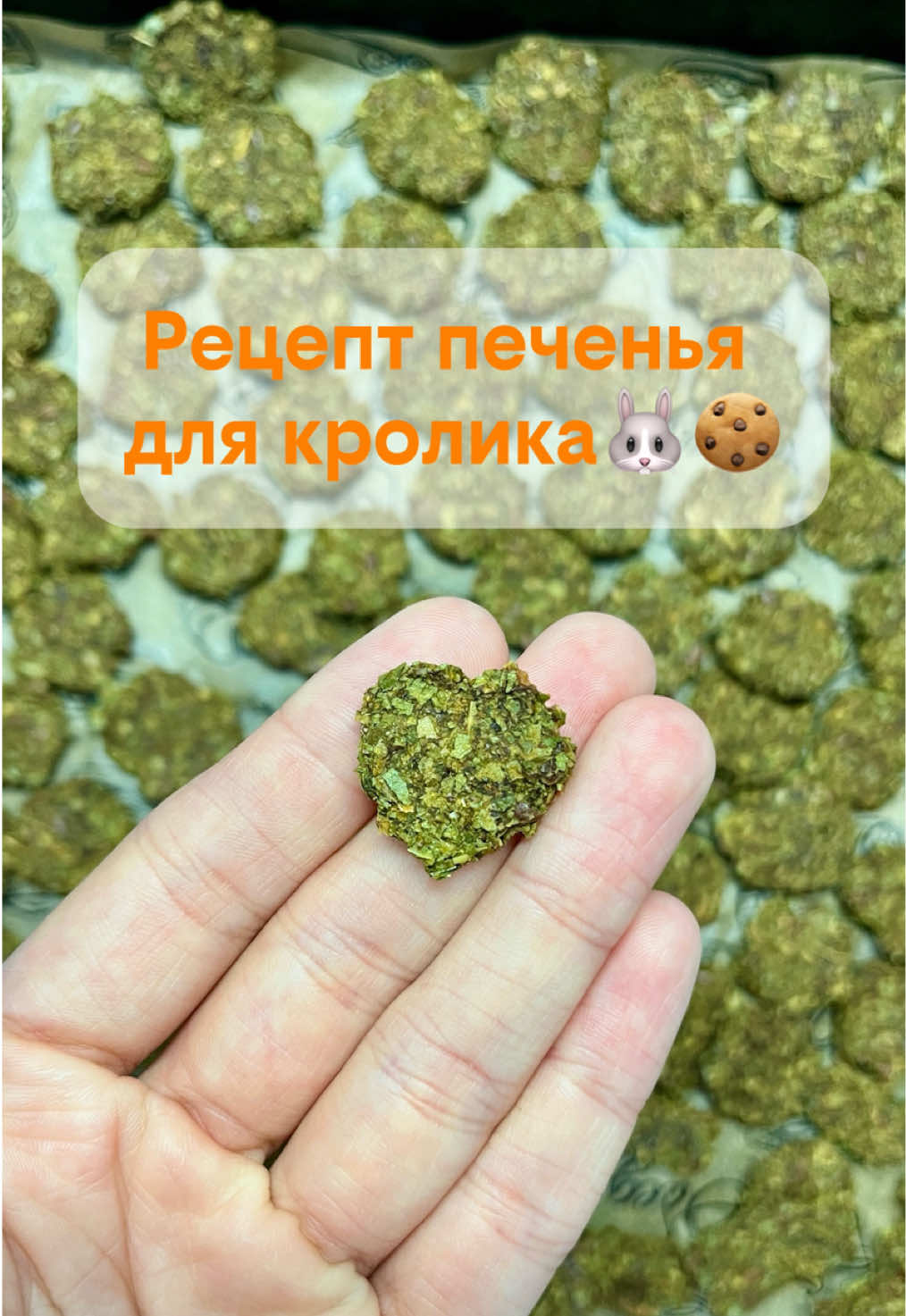 @Пусик