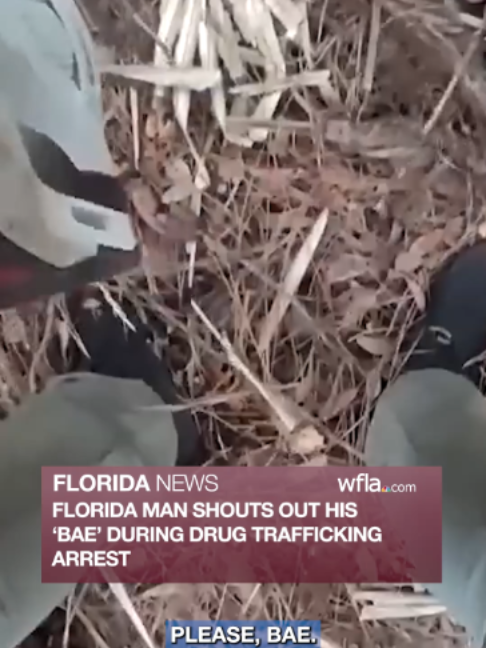 @WFLA News Channel 8