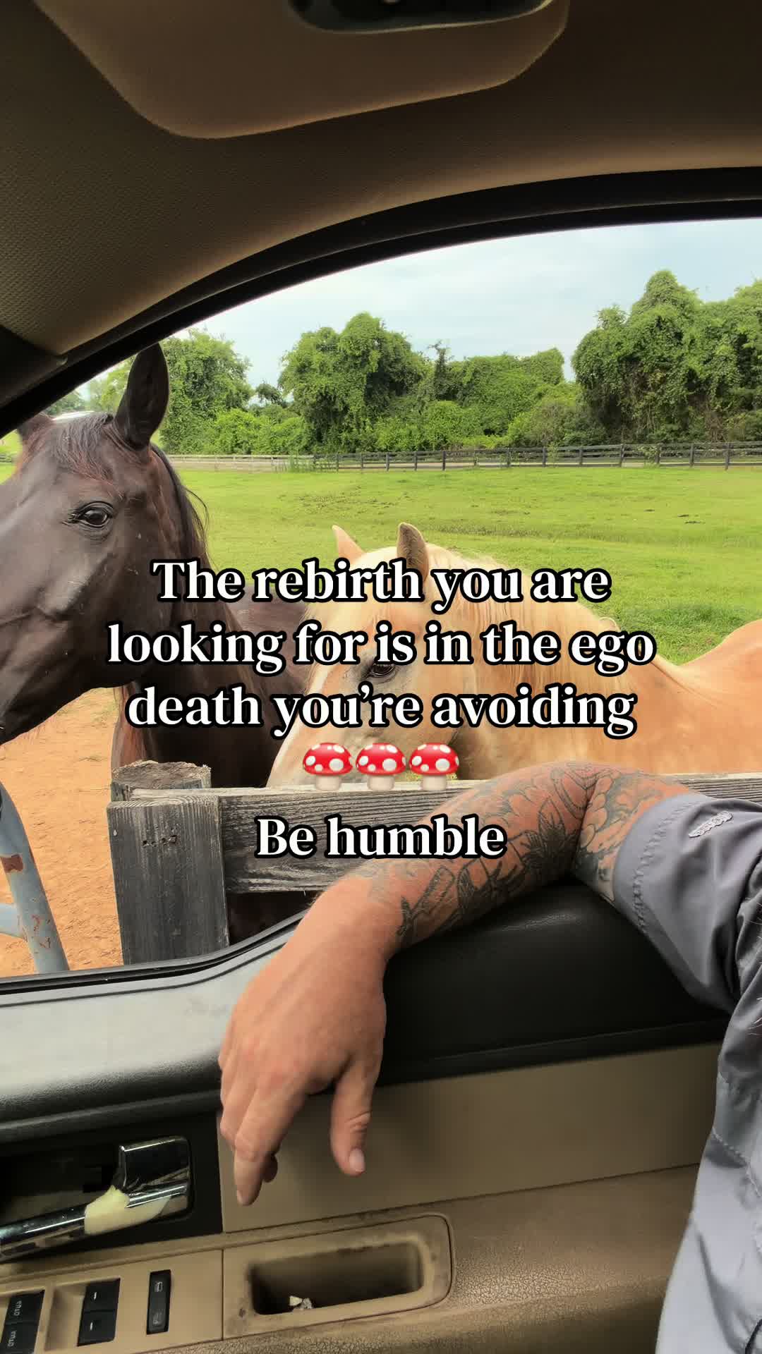 @JT from Tennessee