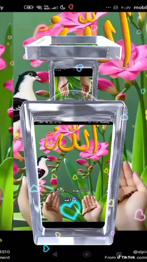 @Shafiqe Bai