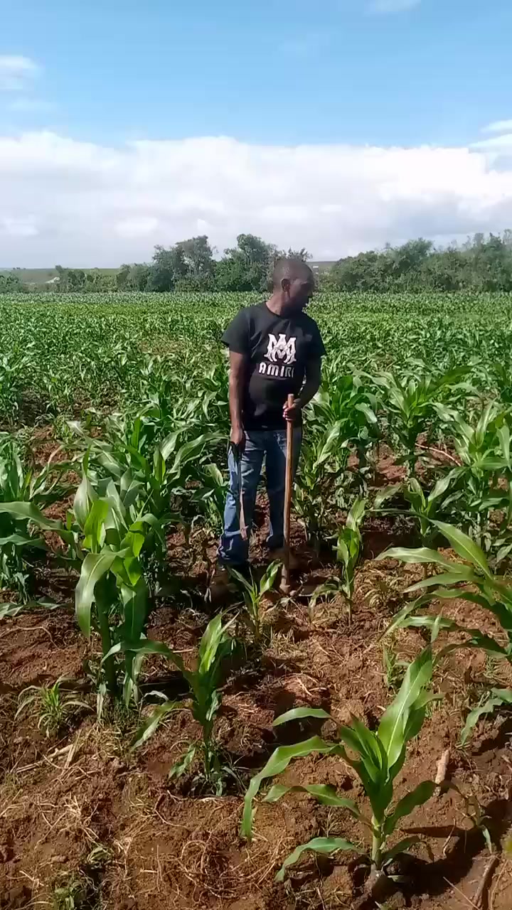 @Dan 4031