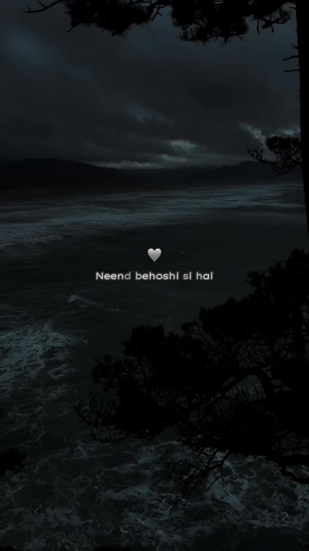 @𝒮𝒽𝒶𝓃𝒾𝑒𝓁𝒶ꫂ ၴႅၴ