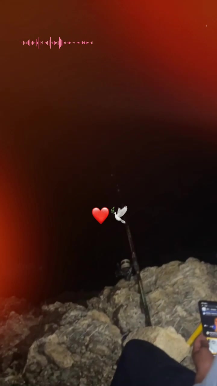 @c'est L&eacute; p&atilde;tr&otilde;n🐊🦅💞