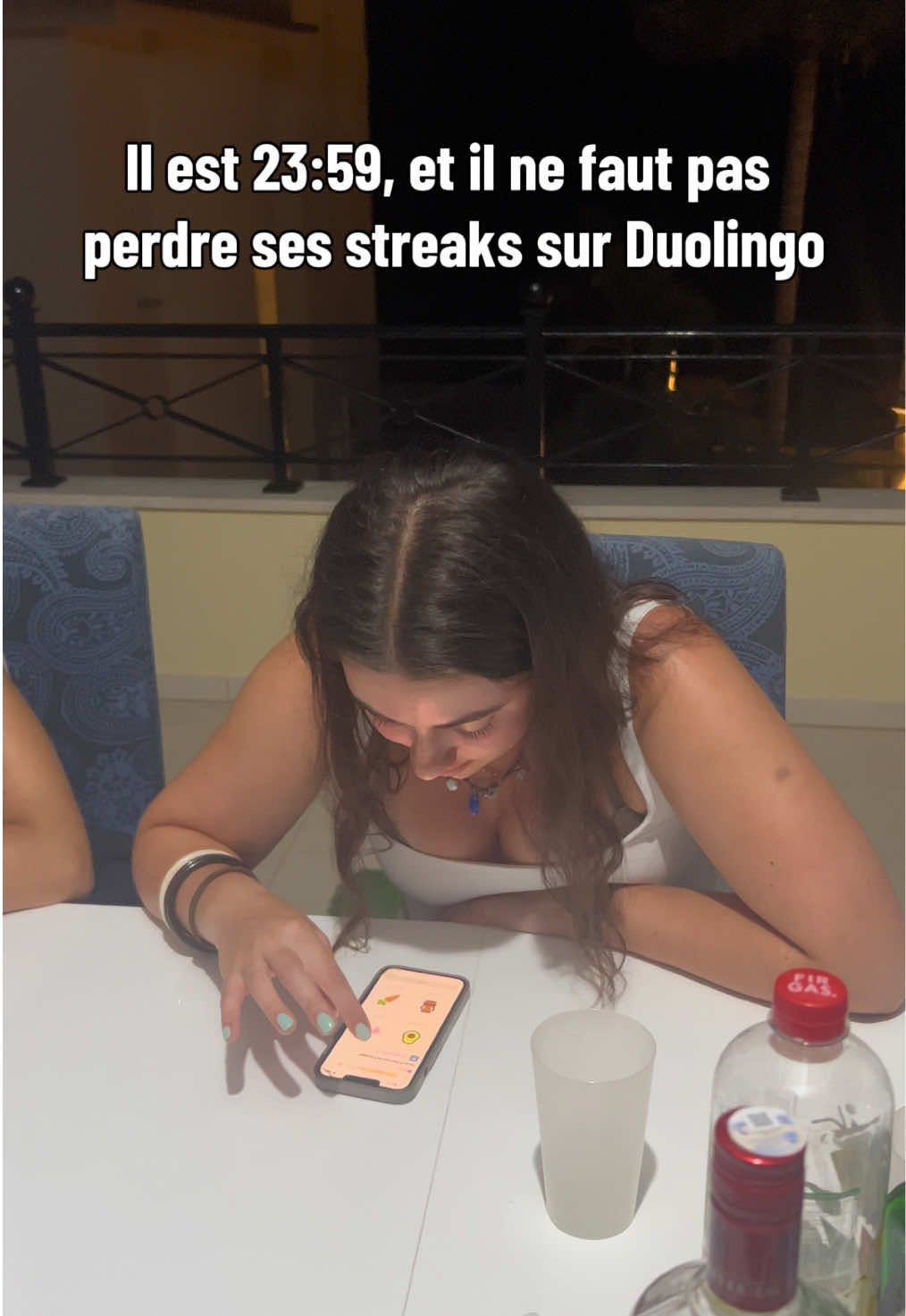 @lescanardsrient