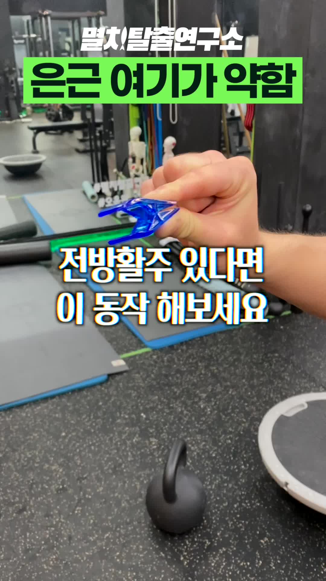 @멸치탈출연구소