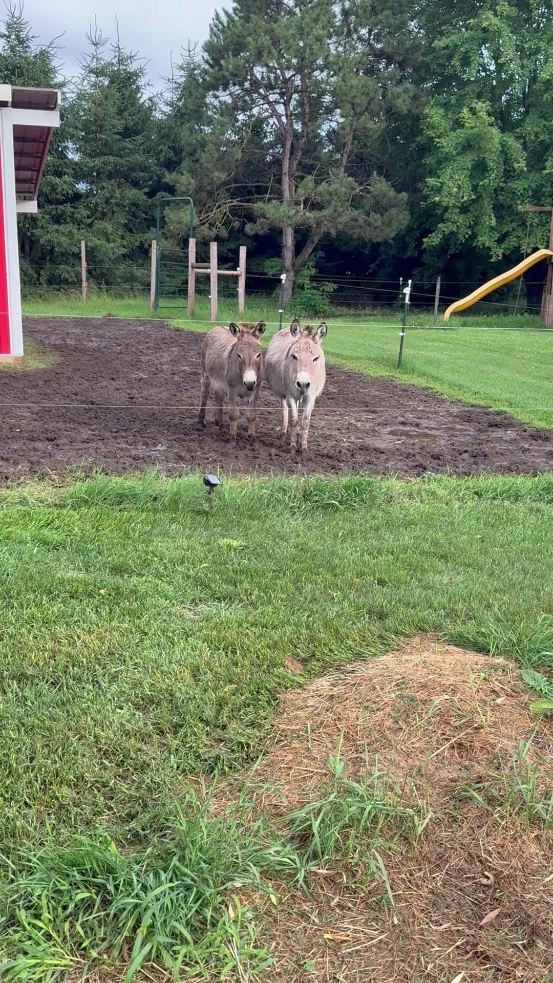 @Safe Place Pastures, Inc.