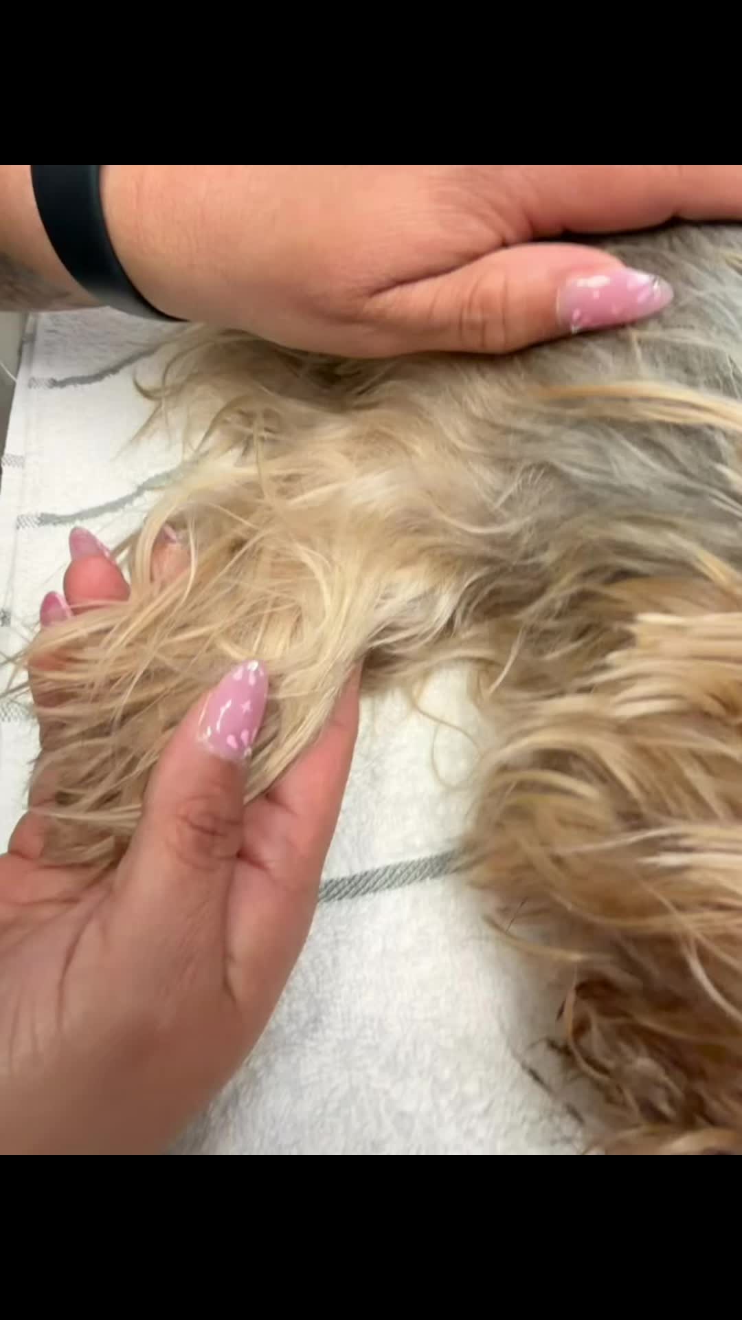 @Veronica_ Rose
