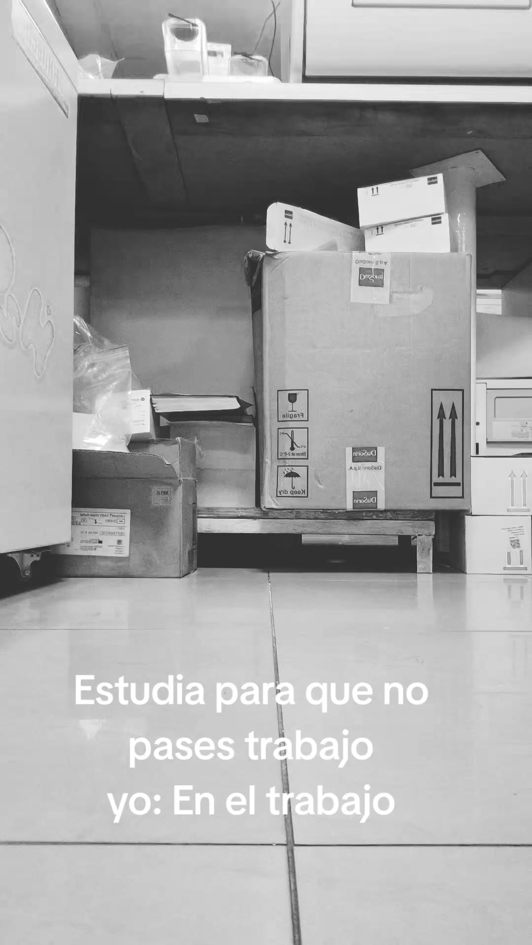 @Daliza