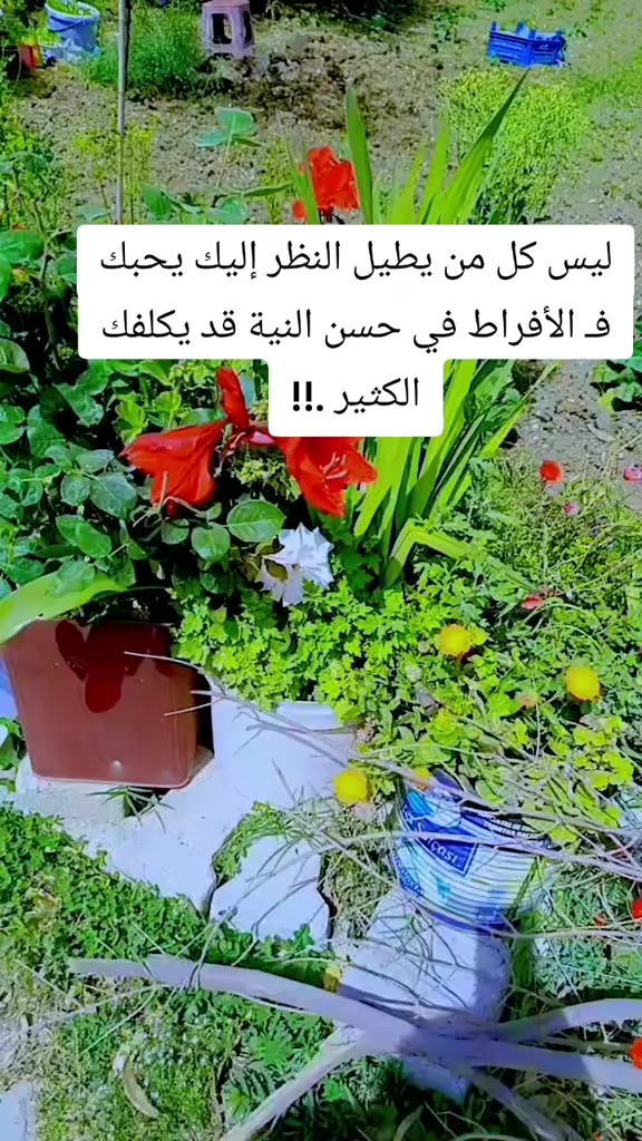 @لحن الحياة🌼