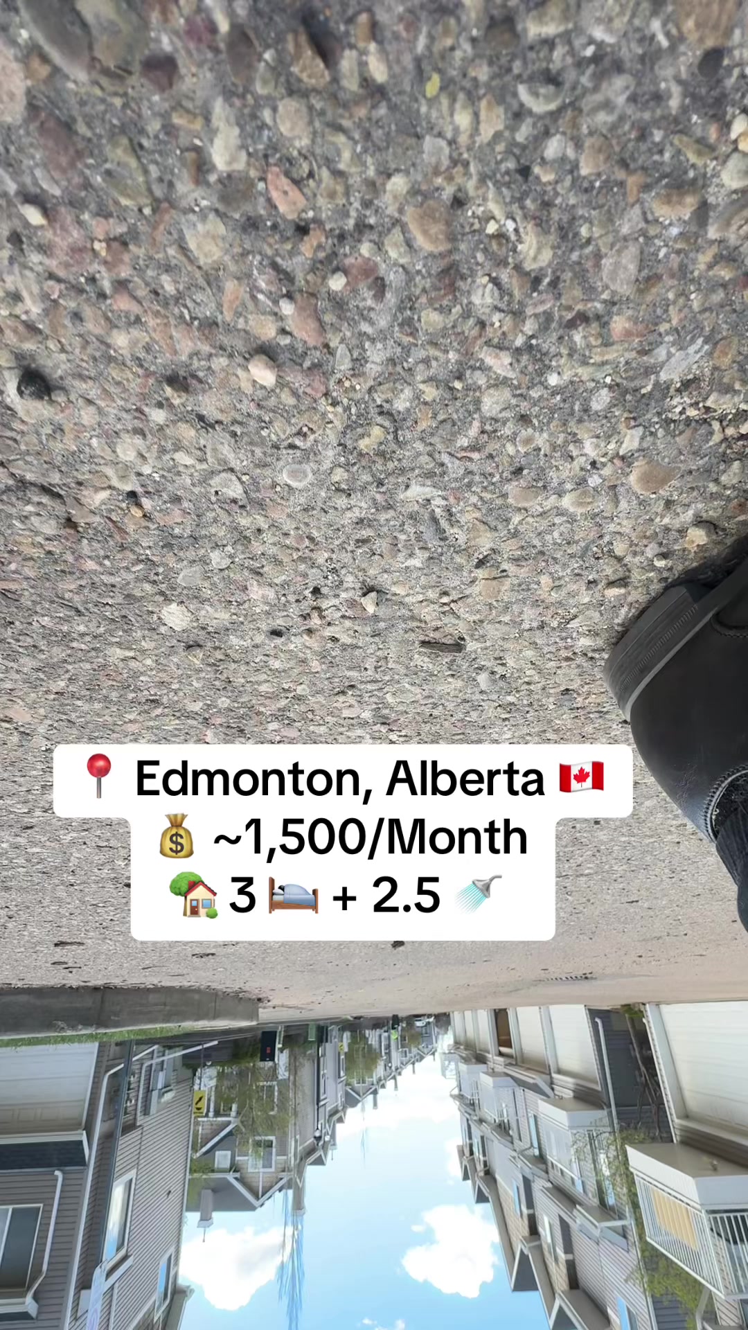 @Marshal Muhammad |YEG REALTOR®