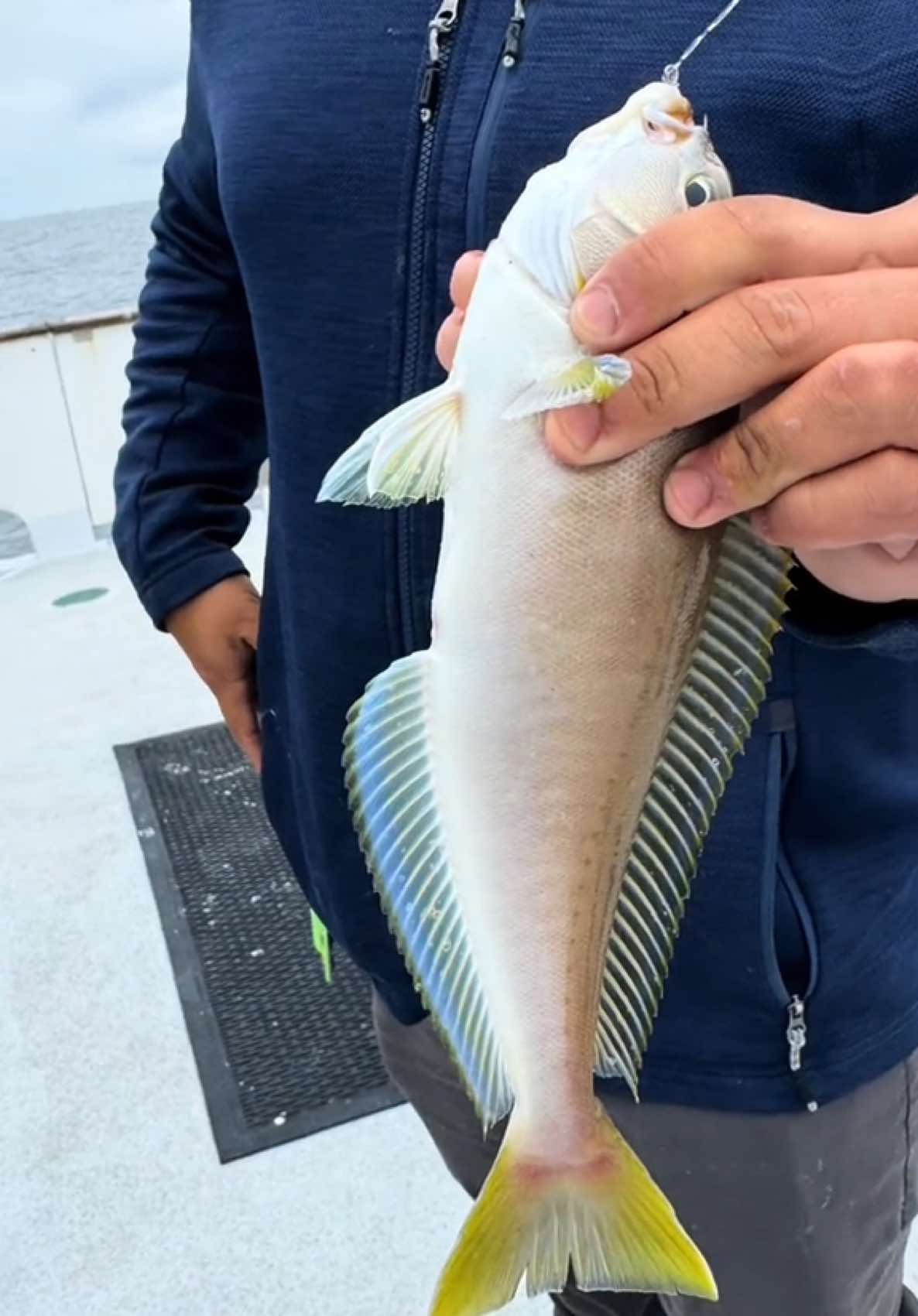 @blackhamachi