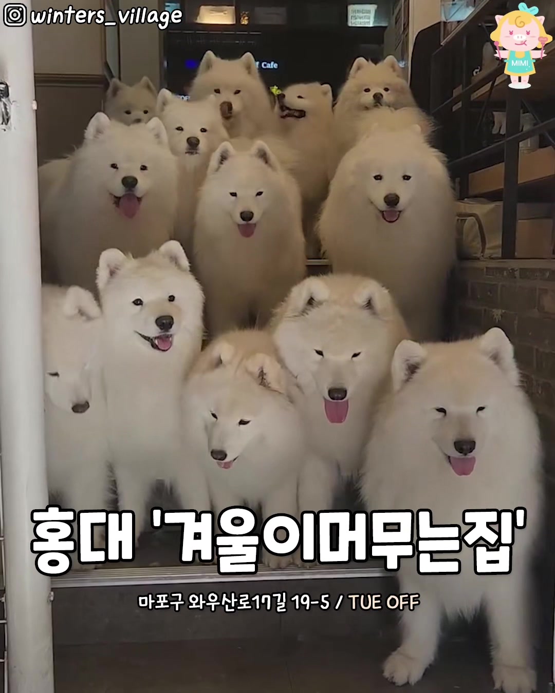 @서울핫플