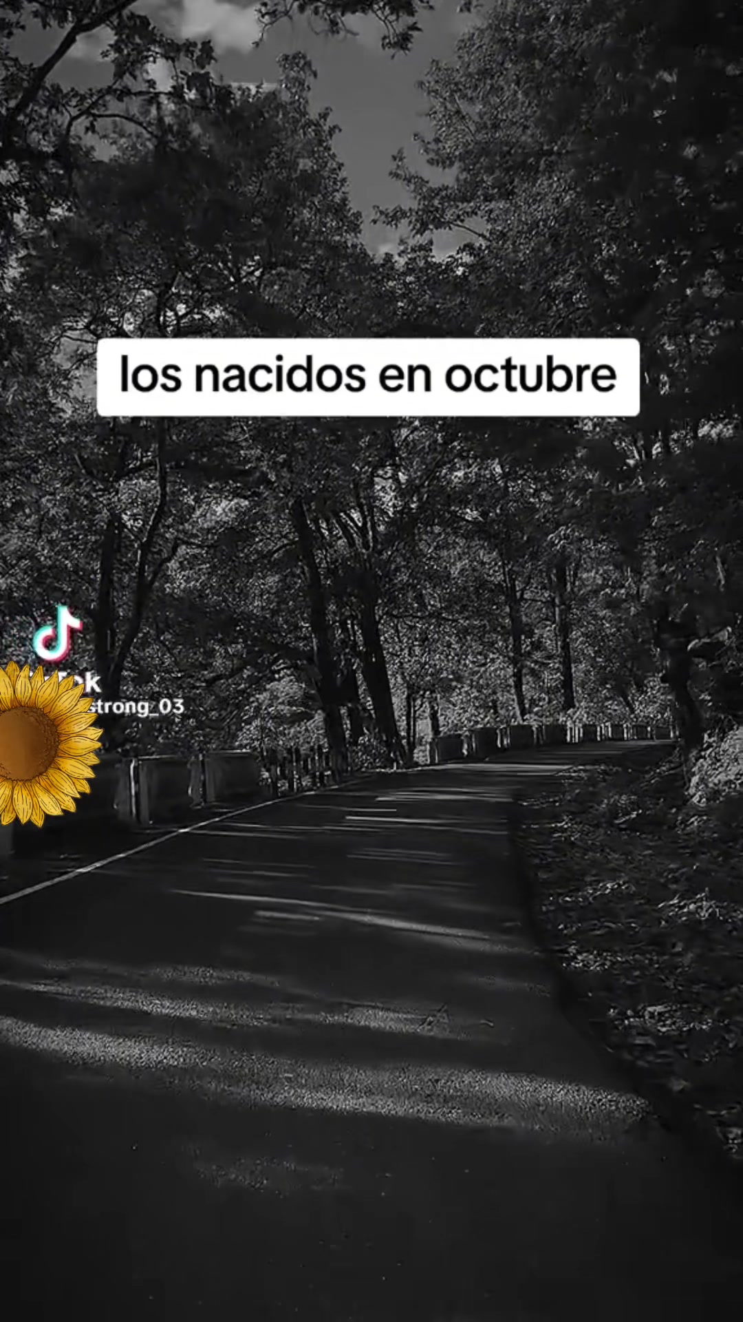 @Lulu Gomez